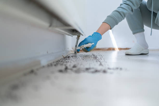 Best Bed Bug Extermination  in San Diego, TX